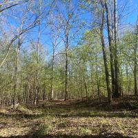 Little Cypress Farm images 4