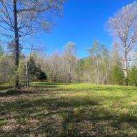 Little Cypress Farm images 5