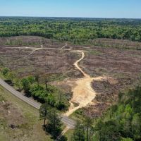 Pickens 101 ac