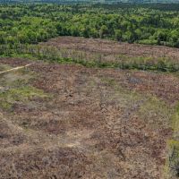 Pickens 101 ac images 5
