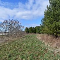 Troyer s Treasure images 3