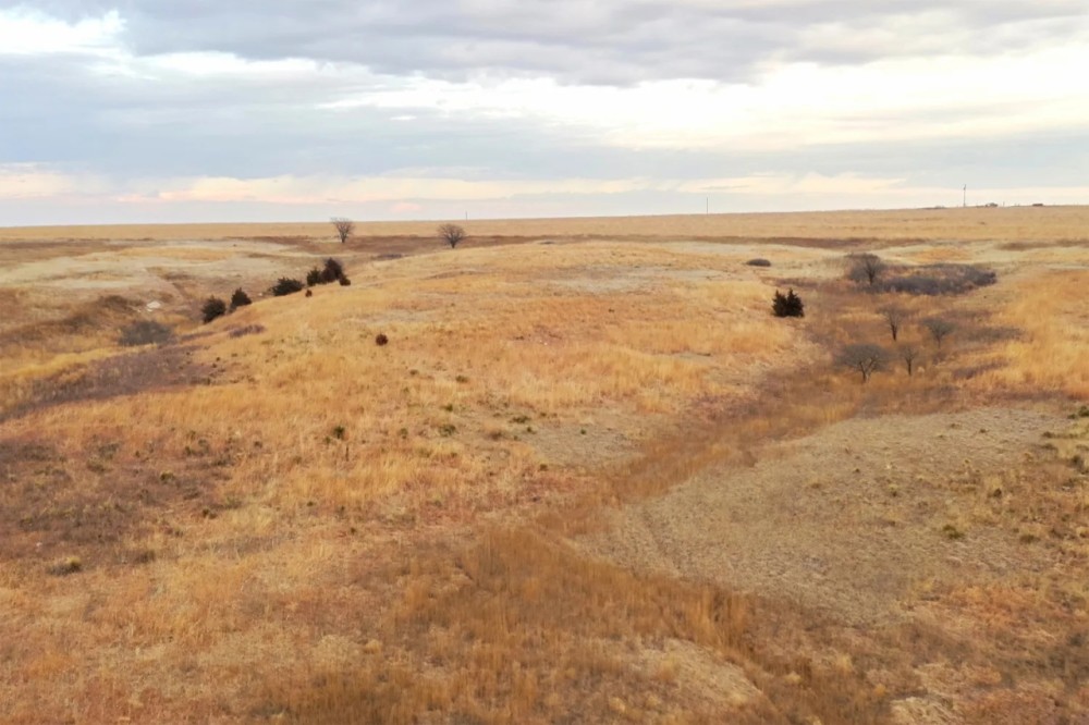 77.10 - Acre CRP Property in Norton County KS featured image