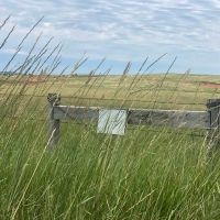 Red Draw Ranch images 4