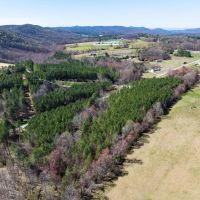 10.98 acre Building Lot for Sale in Northwestern Iredell County NC images 2
