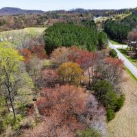 10.98 acre Building Lot for Sale in Northwestern Iredell County NC images 4