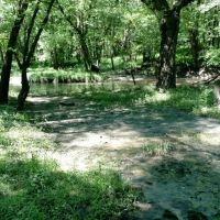 15 - Acre Building Site with Tree Covered Rec Land images 2
