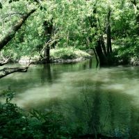 15 - Acre Building Site with Tree Covered Rec Land images 5