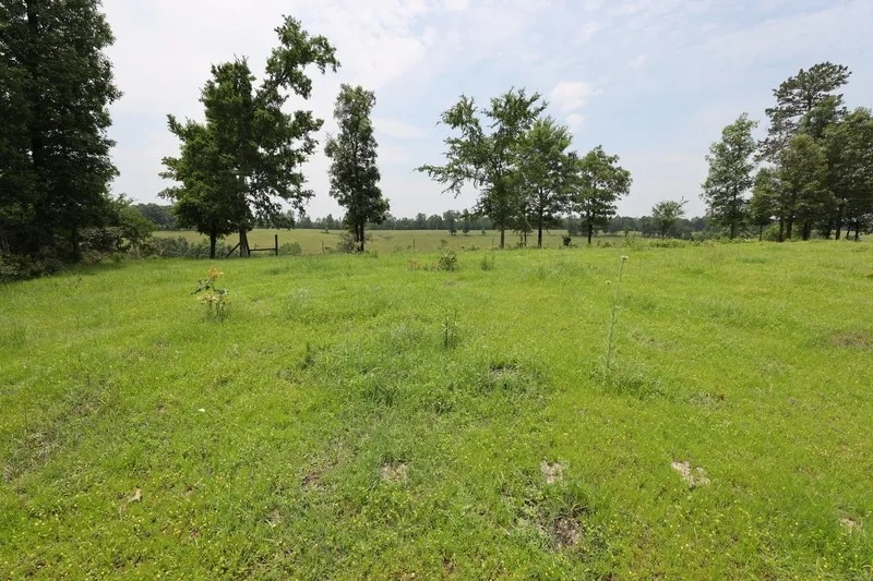 Smithville Tract 1—3.17 Acres More Or Less featured image