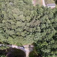 MARKET BASED PRICE IMPROVEMENT 1 acre of Residential Timber Land For Sale in Warren County NC images 2