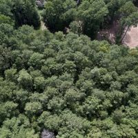 MARKET BASED PRICE IMPROVEMENT 1 acre of Residential Timber Land For Sale in Warren County NC images 5