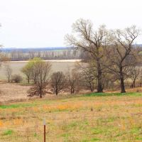 Canadian River 330 Acres images 5