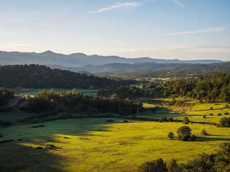 Highland Vallis Ranch featured image