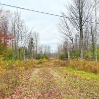 145 acres Hunting Land with Cabin Stockholm NY images 3