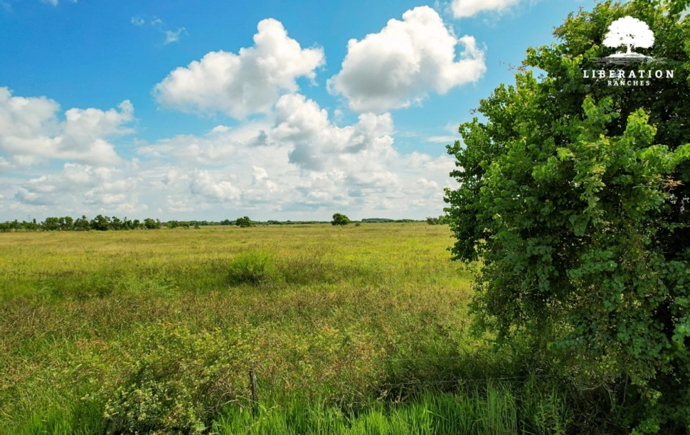 Rock Island Tract 8 14 Acres Only 15K Down featured image