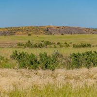 Dumbrill Creek Ranch