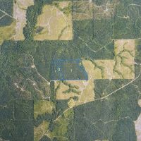 Jackson Parish Timber Tract 10 images 2
