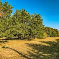 Amazing Grace Ranch images 4