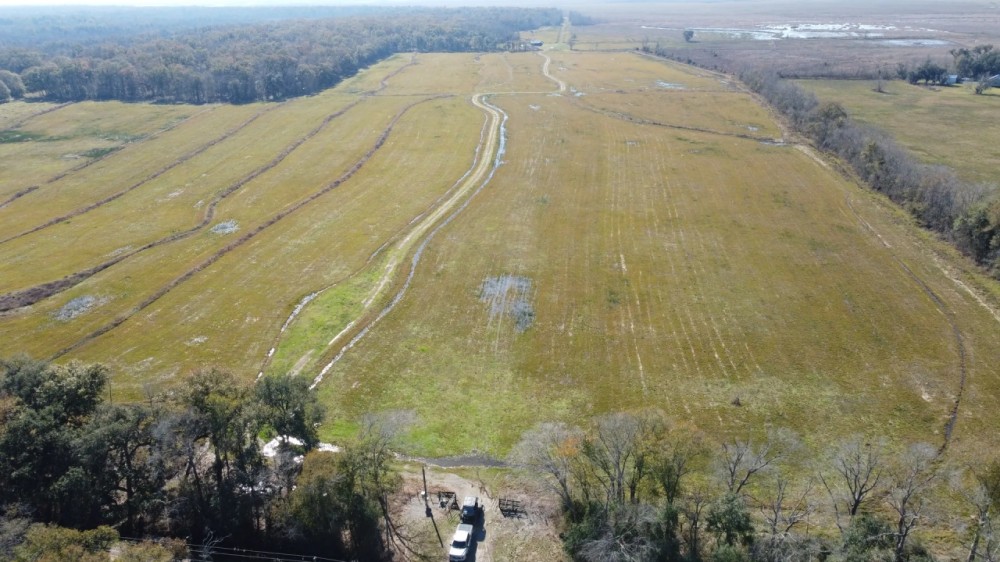 145 - acres Pine Island Dr Abbeville LA 70510 featured image
