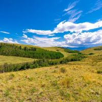 Little Horn Ranch