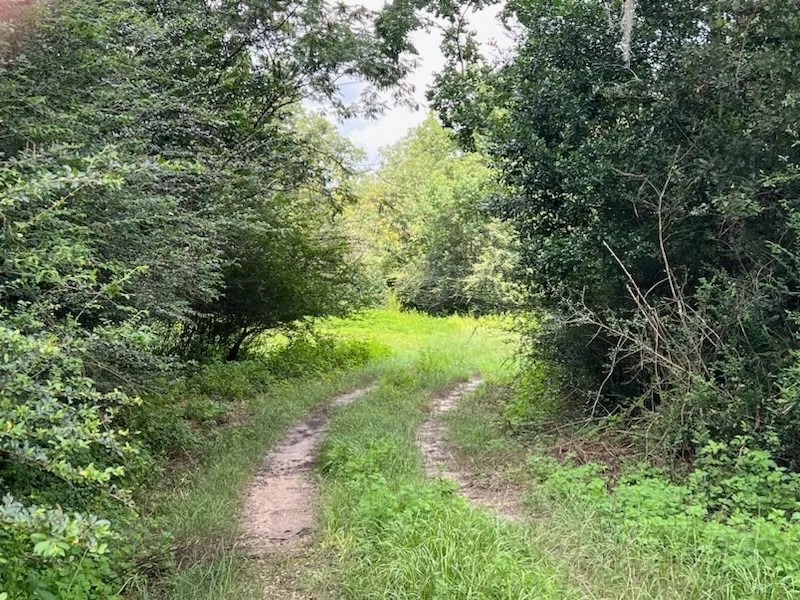 New Property111 Acres with 3 200 Feet of Chipola River Frontage in Marianna FL featured image