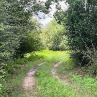 New Property111 Acres with 3 200 Feet of Chipola River Frontage in Marianna FL