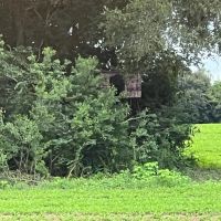New Property111 Acres with 3 200 Feet of Chipola River Frontage in Marianna FL images 2