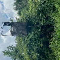 New Property111 Acres with 3 200 Feet of Chipola River Frontage in Marianna FL images 3