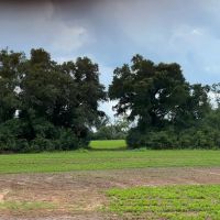 New Property111 Acres with 3 200 Feet of Chipola River Frontage in Marianna FL images 4