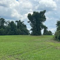 New Property111 Acres with 3 200 Feet of Chipola River Frontage in Marianna FL images 5