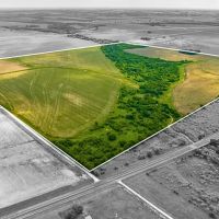 Itasca Tract 4 13 Acres Only 15K Down images 5
