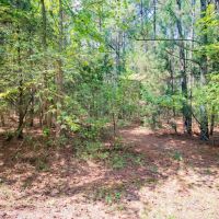 7.30 acres of Residential Land For Sale in Alamance County NC images 5