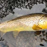 Byers Canyon Ranch images 1