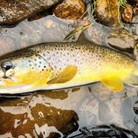 Byers Canyon Ranch images 2