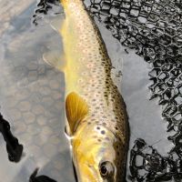 Byers Canyon Ranch images 3