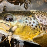 Byers Canyon Ranch images 5