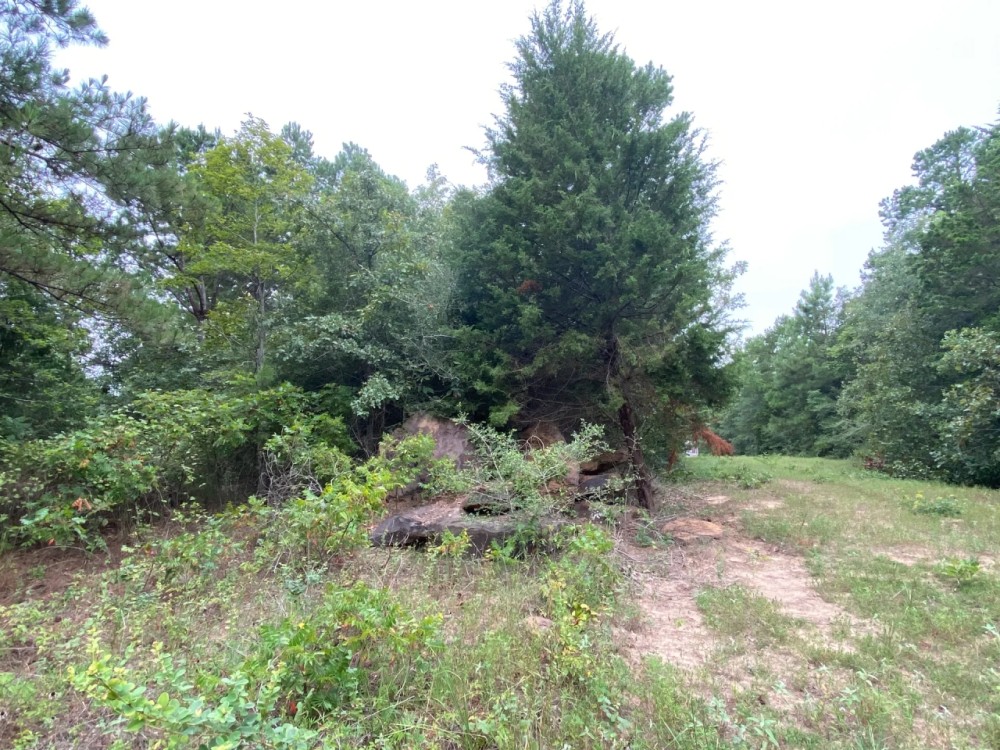 Hunting Property near Tatum Texas featured image