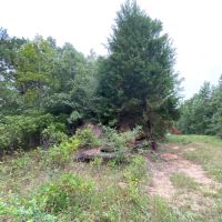 Hunting Property near Tatum Texas