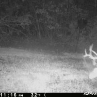 Hunting Property near Tatum Texas images 2