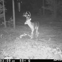 Hunting Property near Tatum Texas images 3