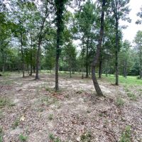 Hunting Property near Tatum Texas images 4