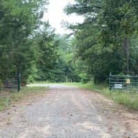 Hunting Property near Tatum Texas images 5