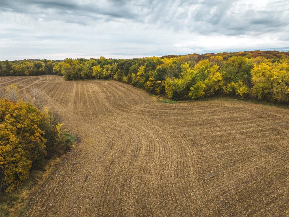 48 - acres located near Rutledge MO featured image