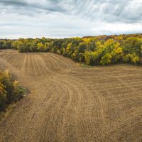 48 - acres located near Rutledge MO