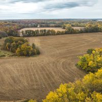 48 - acres located near Rutledge MO images 3