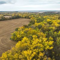 48 - acres located near Rutledge MO images 4