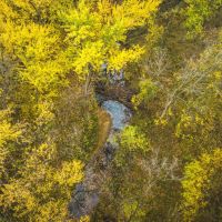 48 - acres located near Rutledge MO images 5