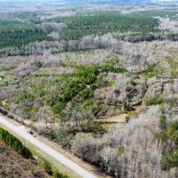 Caty Creek 120 ac Chambers Co. images 4