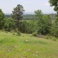 Smithville Tract 3—5.16 Acres More Or Less images 2