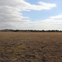 Hunting Recreational Land For Sale images 3