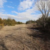 Hunting Recreational Land For Sale images 4